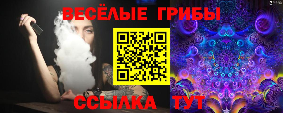 Галлюциногенные грибы мицелий Долгопрудный