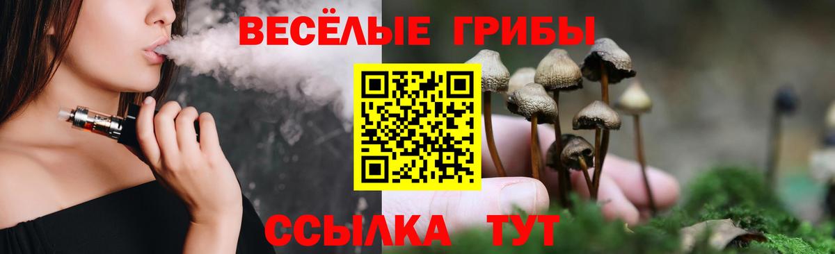как найти закладки  Вход с VPN  Долгопрудный  Псилоцибиновые грибы Magic Shrooms 